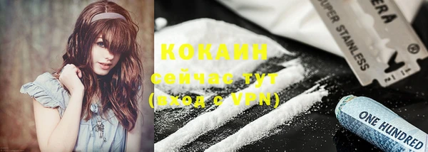 бошки Богородицк