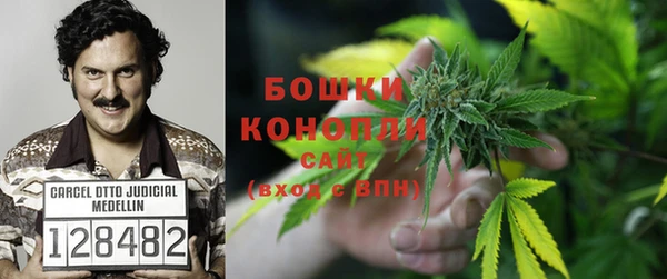 бошки Богородицк