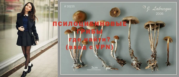 jwh Богданович